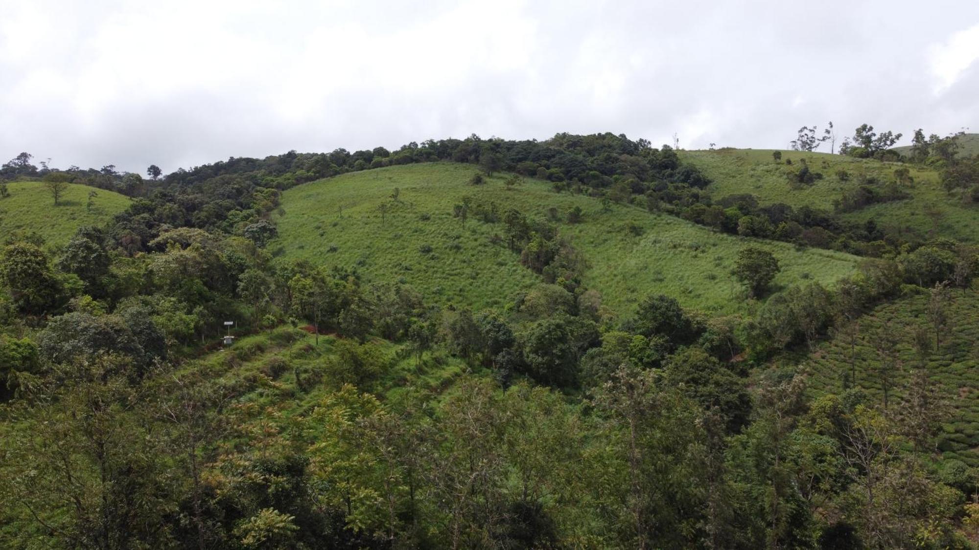 The Vagabond Stays Vagamon Exterior foto